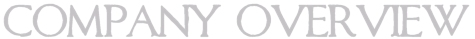Company Overview